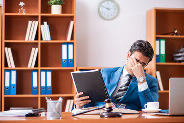 Lawyer working in the office