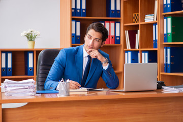 Young employee working in the office