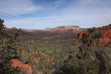 Naklejka premium Forested Valley Between Red Rock Vista of Sedona Valley while Mountain Biking along the in Sedona Arizona