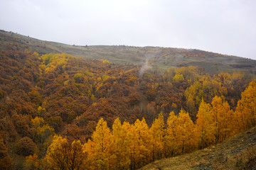 Fototapeta premium The seasonal view of Havadorik Valley (derecik), Mus, Turkey
