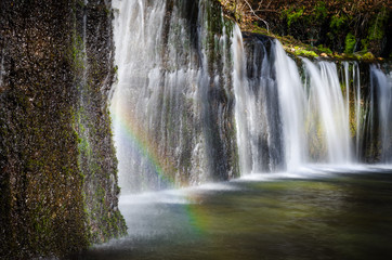 Fototapeta premium Tęcza nad wodospadem Shiraito