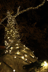 Sedona Town Christmas Holiday Star Lights in Trees at Night