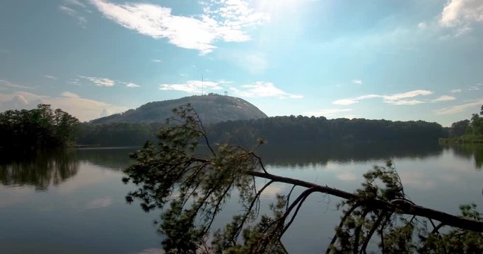 Flying Alongside Fallen Tree Revealing Stone Mountain