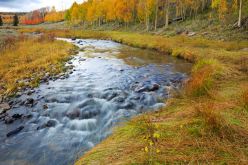 Autumn Stream in Dixie National Forest