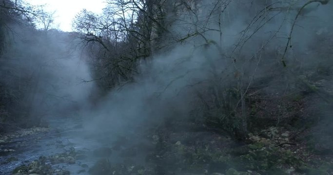 Foggy forest lateral move - Aerial 4K