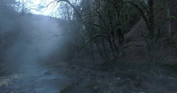 Misty forest back - Aerial 4K