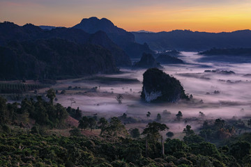 PhuLangKa morning sunset and misty scene  - 241808492