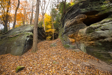 Sedimentary rock of Ritchie Ledges in Cuyahoga Valley National Park.