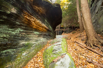 Sedimentary rock of Ritchie Ledges in Cuyahoga Valley National Park.