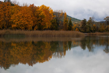 Fototapeta na wymiar lake autumn colors. reflection of the sky and the trees in the water. Autumnal landscape.