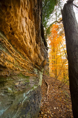 Sedimentary rock of Ritchie Ledges in Cuyahoga Valley National Park.
