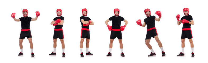 Funny boxer isolated on the white