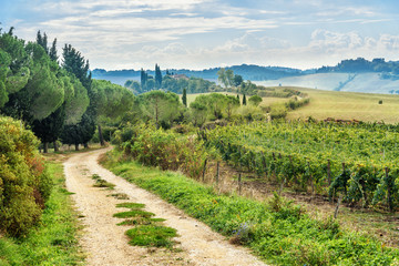 Fototapeta na wymiar Landscapein Chianti region in province of Siena. Tuscany. Italy