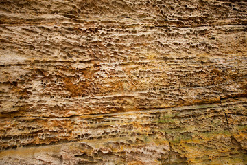 Sedimentary rock of Ritchie Ledges in Cuyahoga Valley National Park.