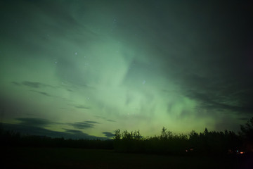 Fototapeta na wymiar Auroras Boreales y luces del norte, Whitehorse, Yukon