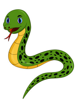 Cartoon happy snake isolated on white background