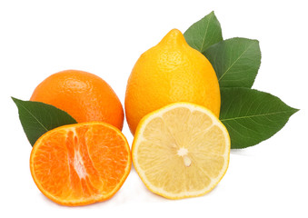 Orange and lemon isolated on white background