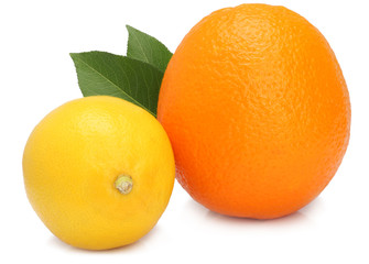 Grapefruit and lemon isolated on white