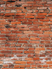 texture of the old brick wall is red