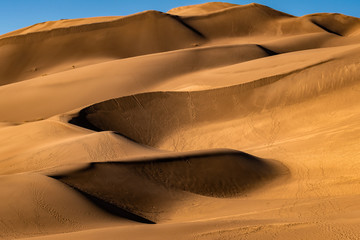 Fototapeta na wymiar Sand Dunes Under a Warm Sun