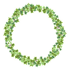 アイビー・ヘデラのナチュラルフレーム　02