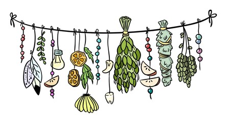 Witch herbs boho hanging colorful doodle decoration © Olga