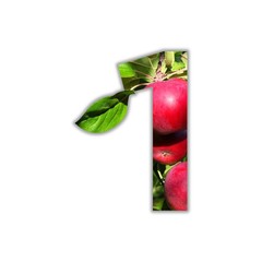 Number 1 is made from fresh fruit