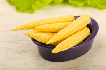 Young baby corn