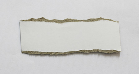 pieces of torn paper texture background, copy space.
