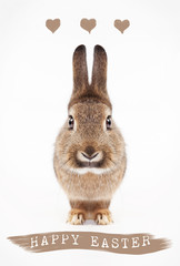 Happy Easter bunny