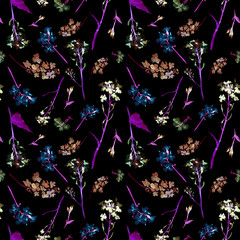 Hand drawn watercolor seamless pattern with field violet and blue small flowers and herbs on black background