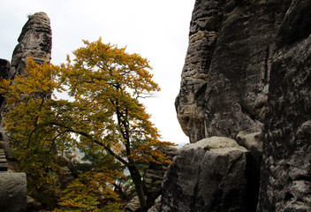 blick auf große felsen in dresden sachsen deutschland fotografiert im herbst an einem sonnigen tag...