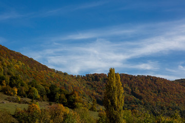 Plakat Herbstlandschaft