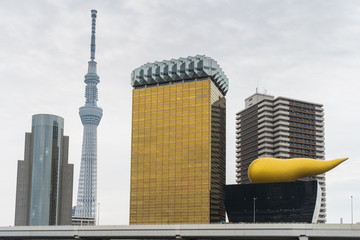 The Asahi Flame and Beer Tower with Tokyo Skytree near Sumida River
