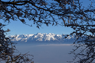 Snow falling from the trees, making a fram around white moutains of French Alps