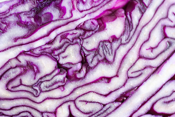 red cabbage salad ingredients with unpeeled sesame seeds and olive oil on white wood table