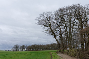 Fototapeta na wymiar niederrheinische Landschaft