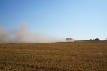 Fototapeta premium landscape with wheat field and blue sky