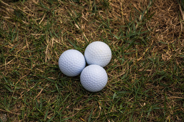 Golf balls are on the grass inside a golf course in Thailand.