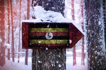The Uganda Africa flag attached to the tree as a sign.