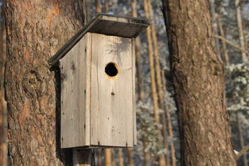 birdhouse