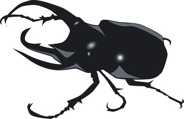 コーカサスオオカブト