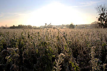 Obraz premium Wintertime