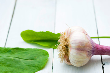 sorrel, , tarragon, turnip cabbage leaves with garlic and bell pepper on white wood background