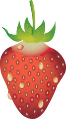イチゴ