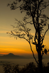 Fototapeta na wymiar Silhouette of trees and Beautiful sky sunrise. Mountain layer in morning sun ray and winter fog.