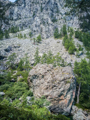 Mountain's landscape of the Alps