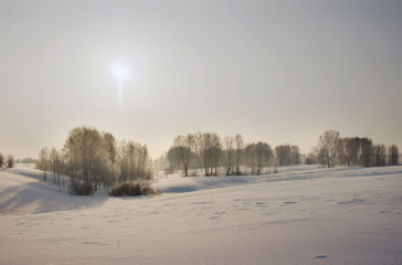 Winter scene of snowy field with trees in a distance and low sun above them