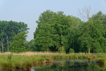 im Naturschutzgebiet Schwalm-Nette