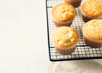 Homemade tasty miffins on white background